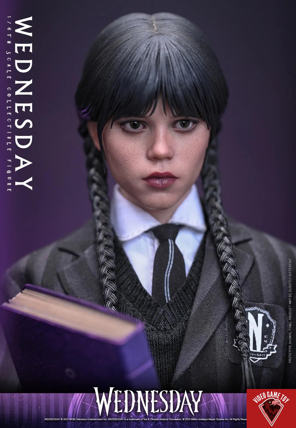 Hottoys – Wednesday 1/6 Scale Figure TMS135 (Licensed